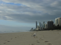 Goldcoast_ (15)